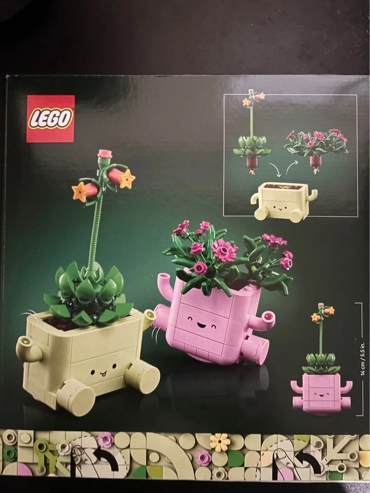 LEGO Botanicals Rocking Plants Set 11506 - photo 3