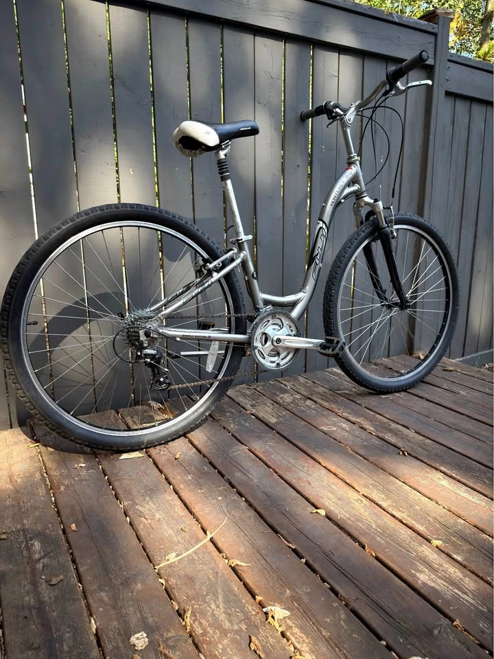 Fuji Monterey 2.0 Step thru 29er