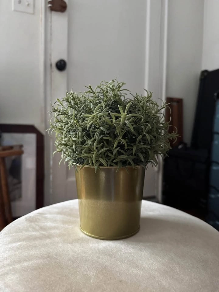 Lot of 13 Faux Plants & Greenery with Planters - photo 2