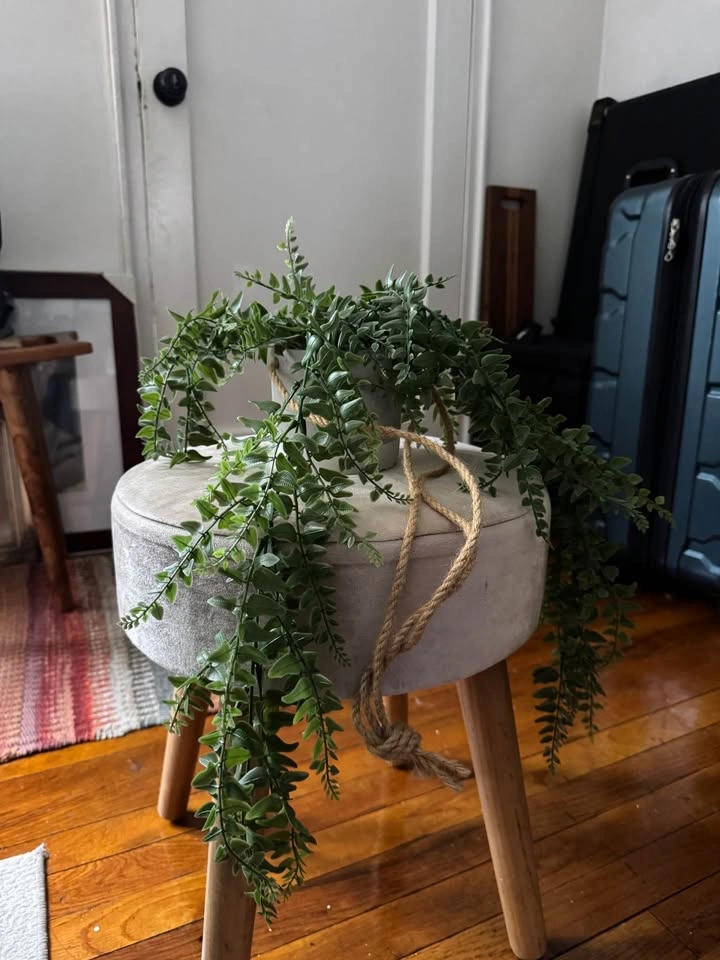 Lot of 13 Faux Plants & Greenery with Planters - photo 5
