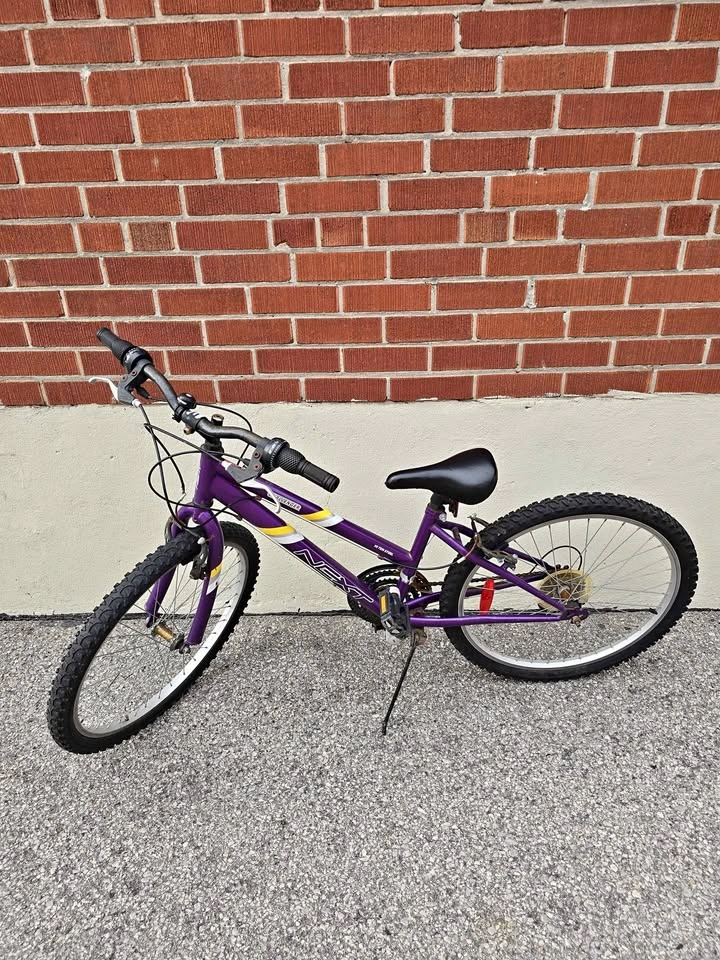 Next Challenger 24" Junior Bike – Hi-Ten Steel Frame – Purple