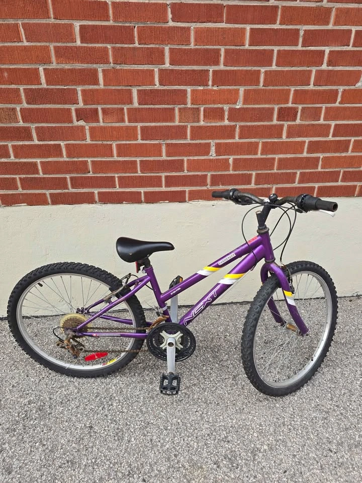 Next Challenger 24" Junior Bike – Hi-Ten Steel Frame – Purple - photo 2