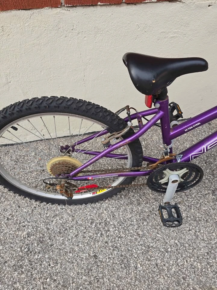 Next Challenger 24" Junior Bike – Hi-Ten Steel Frame – Purple - photo 3