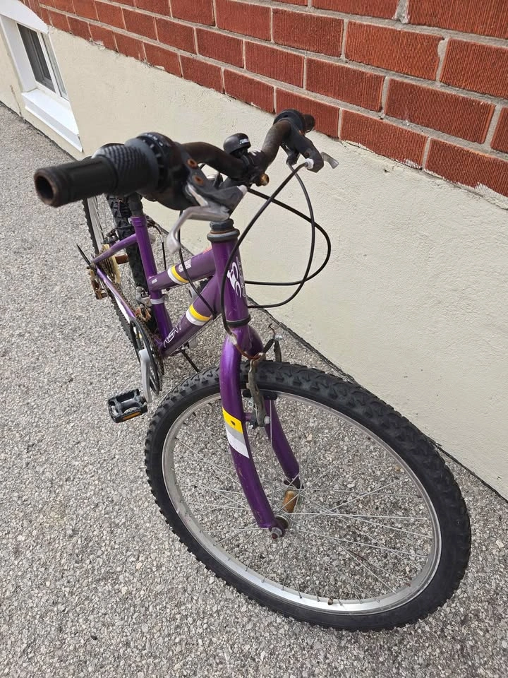 Next Challenger 24" Junior Bike – Hi-Ten Steel Frame – Purple - photo 5