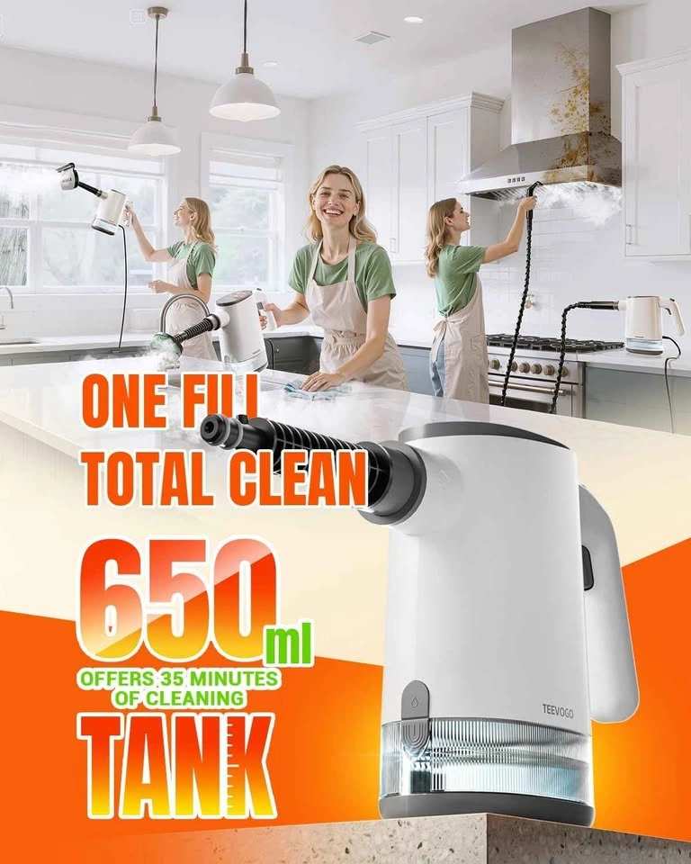 TEEVOGO 650ML Handheld Steam Cleaner - photo 3