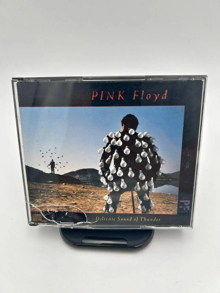 Pink Floyd Delicate Sound of Thunder 2CD Set