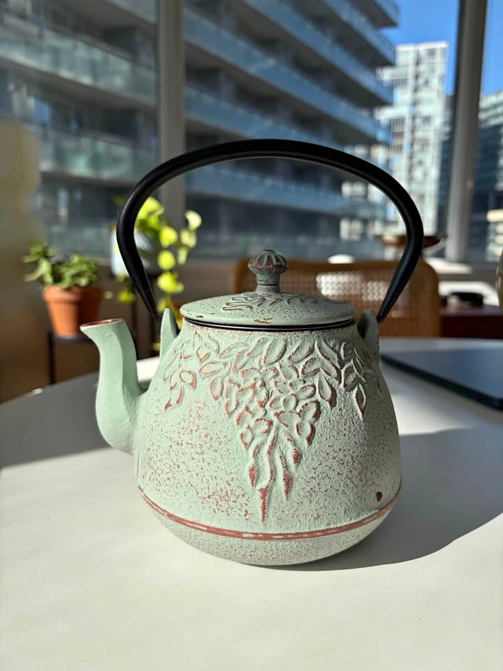 Rustic Japanese Style Teapot