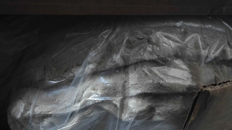 Teddy Sofa-A Piece — Brand New, Unopened - photo 4