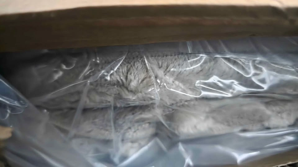 Teddy Sofa-A Piece — Brand New, Unopened - photo 5