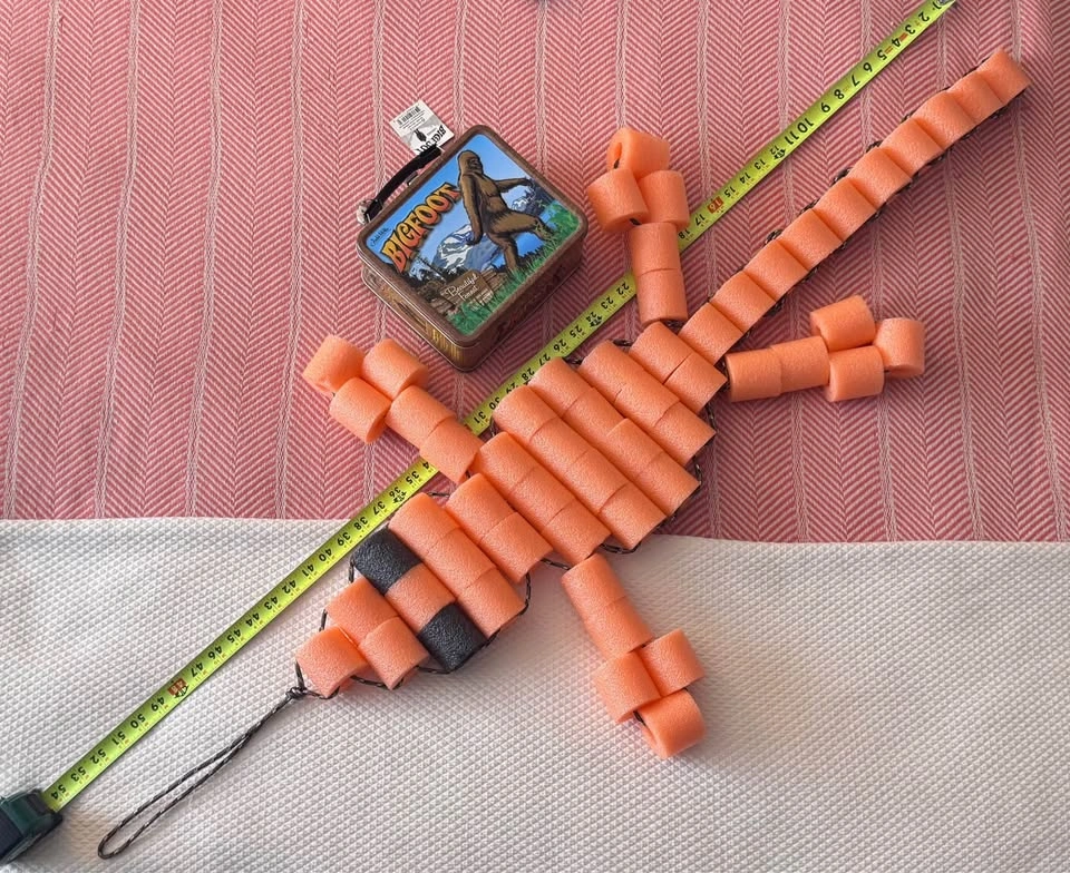 Orange you Glad Lizard - photo 2