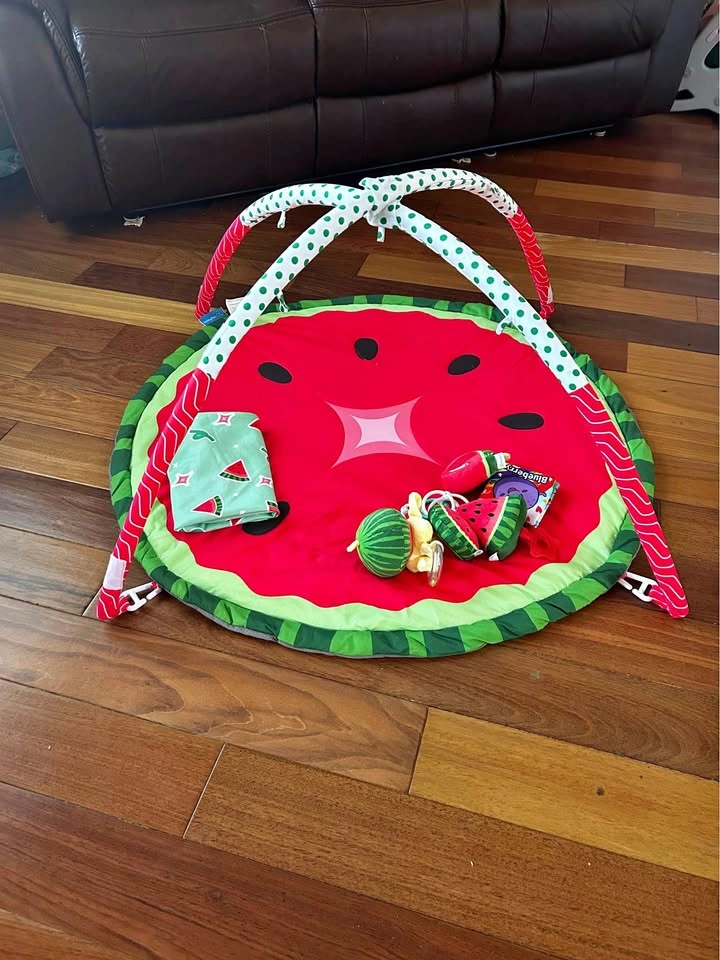 Skip Hop Watermelon Baby Activity Gym
