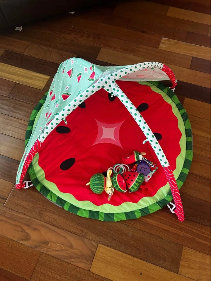 Skip Hop Watermelon Baby Activity Gym - photo 2