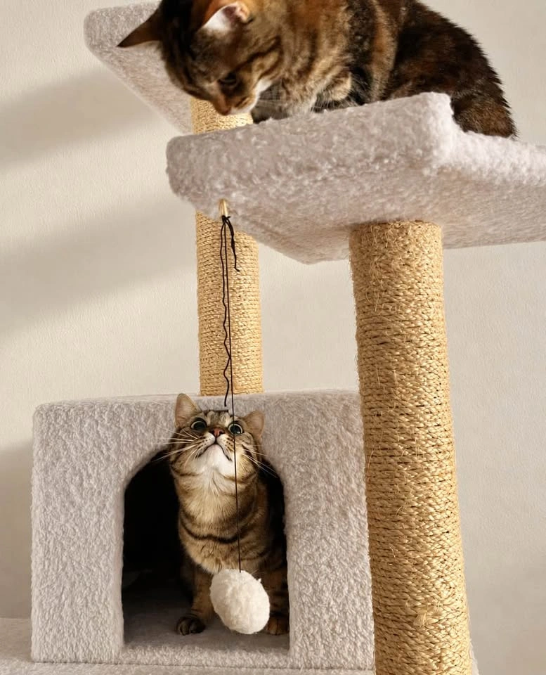 Cat Tree / Cat Condo - photo 3