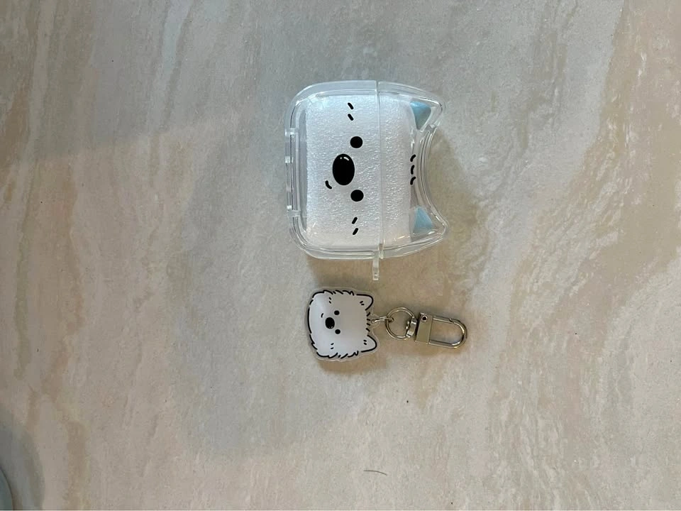 AirPod pro (1&2) case