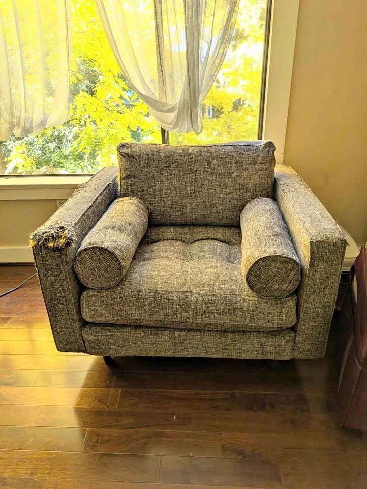 Sven grey arm chair from article
