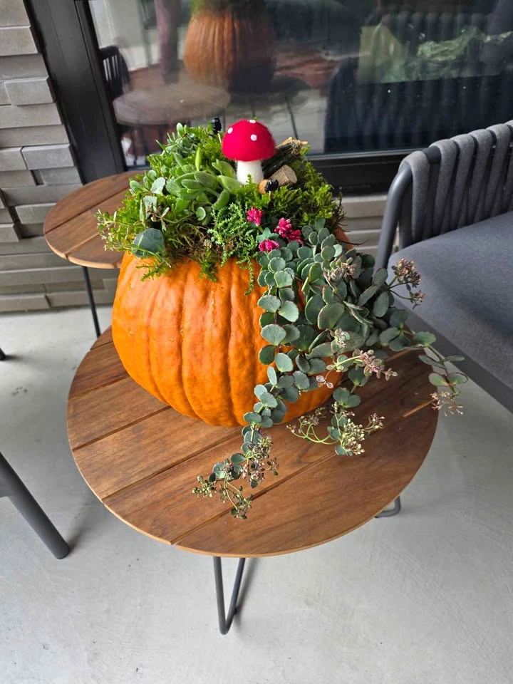 Handmade Succulent Pumpkin
