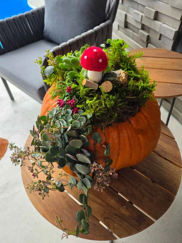 Handmade Succulent Pumpkin - photo 2