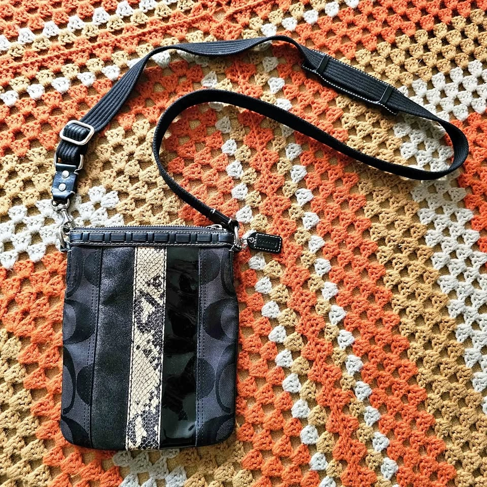 Y2K 2006 Coach Hamptons Signature Stripe Python Swingpack