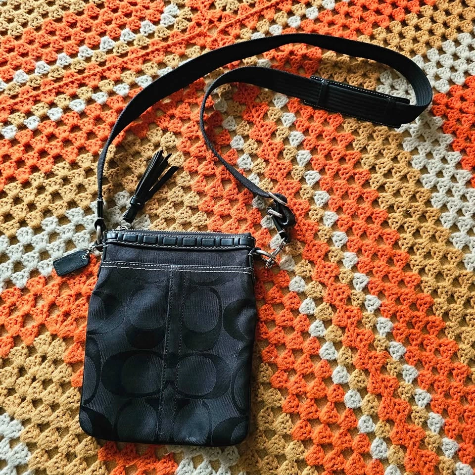 Y2K 2006 Coach Hamptons Signature Stripe Python Swingpack - photo 5