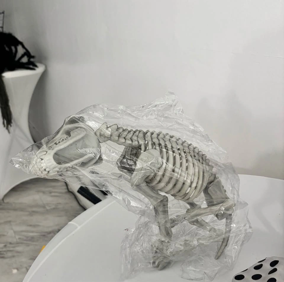 NEW Skeleton Dog