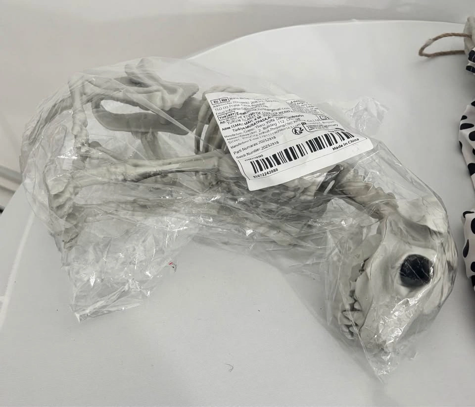 NEW Skeleton Dog - photo 2