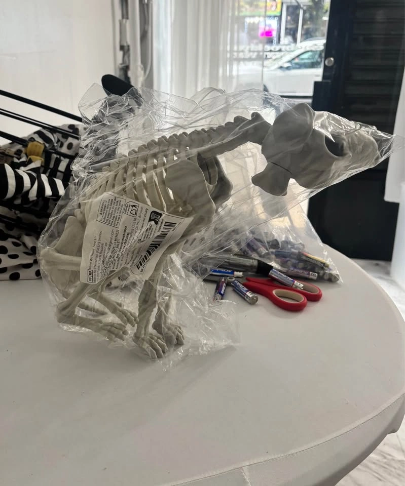 NEW Skeleton Dog - photo 3