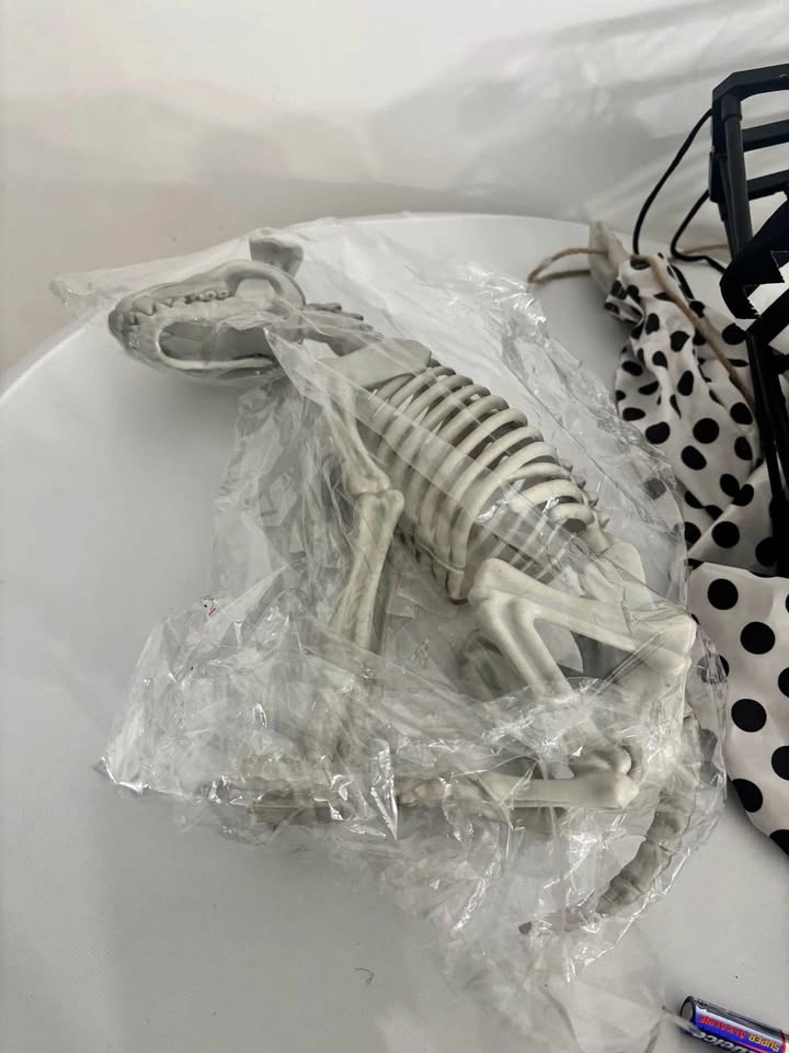 NEW Skeleton Dog - photo 4