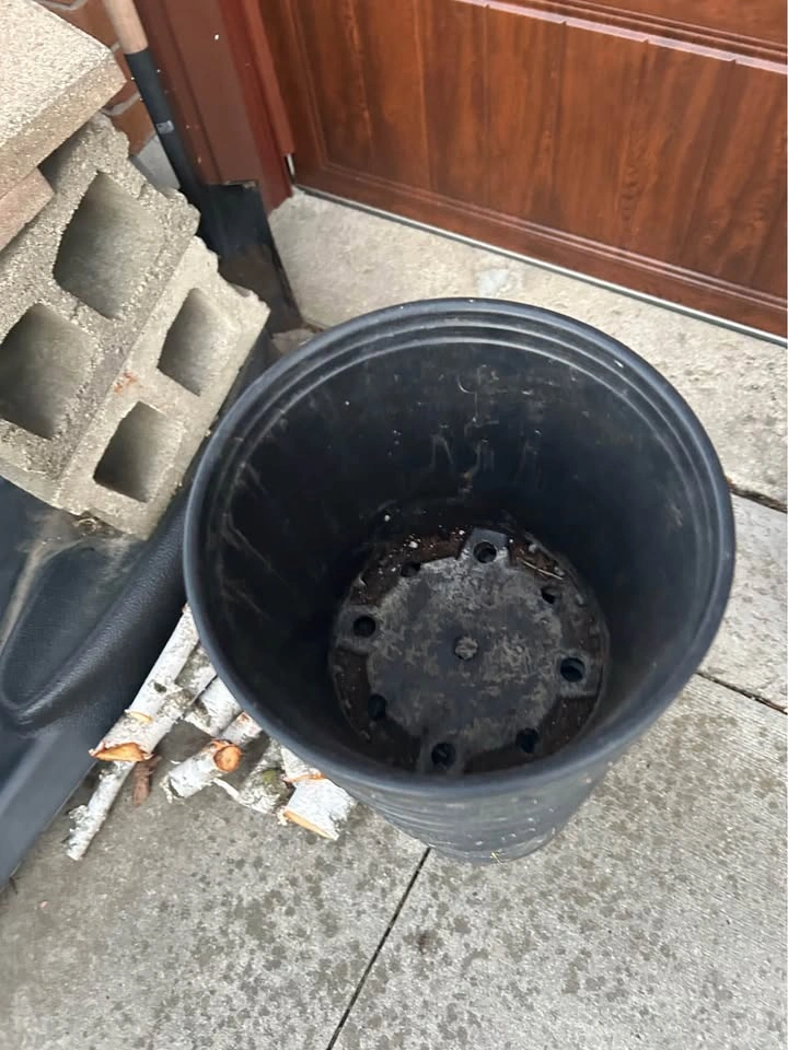 70 8x8“ black plastic plant pots - photo 2