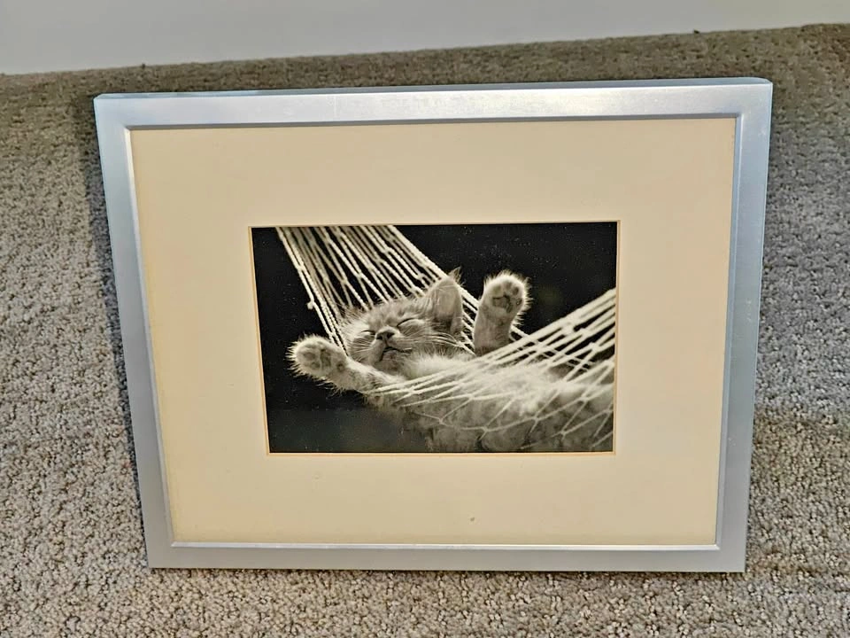 Metal Photo Frame w/ Kitten Cat Photo - 8"x10"