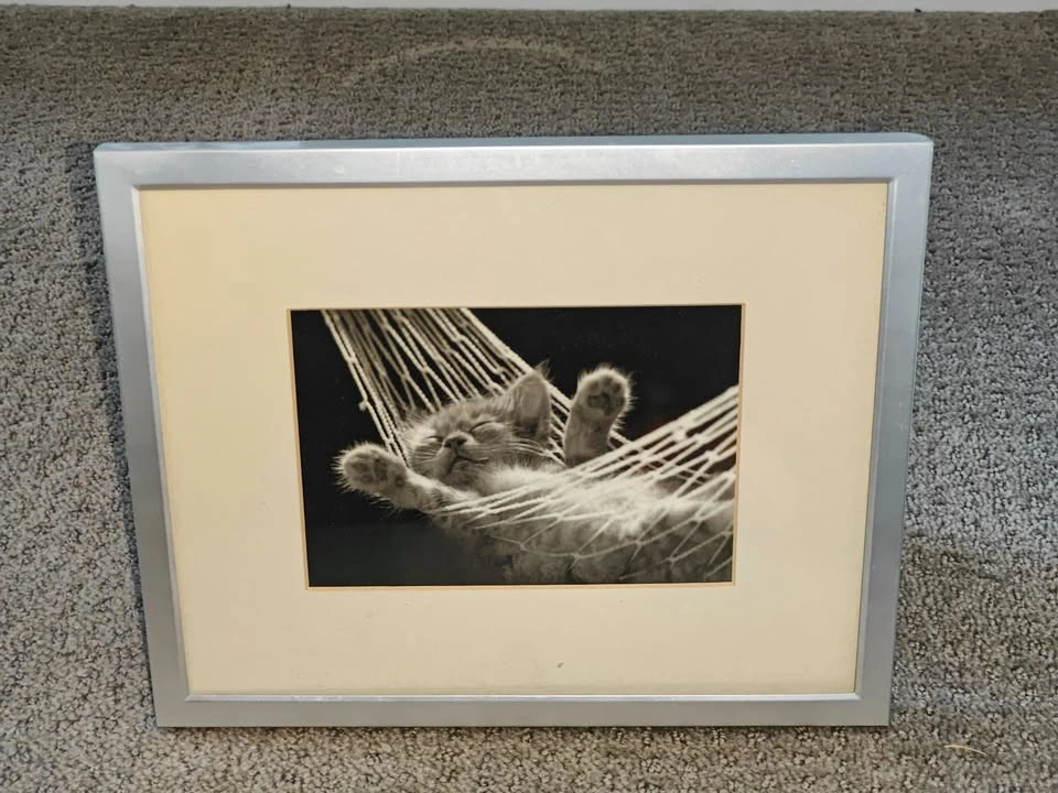 Metal Photo Frame w/ Kitten Cat Photo - 8"x10" - photo 5