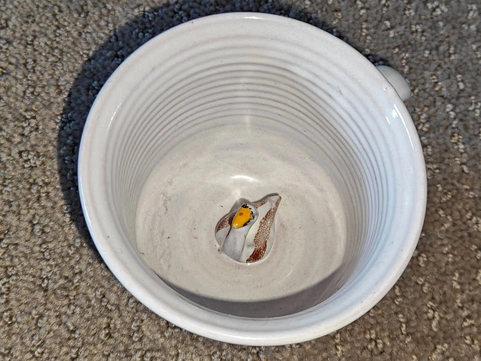 Unique Floral Pottery Ceramic Mug with Surprise Duck Swan Inside