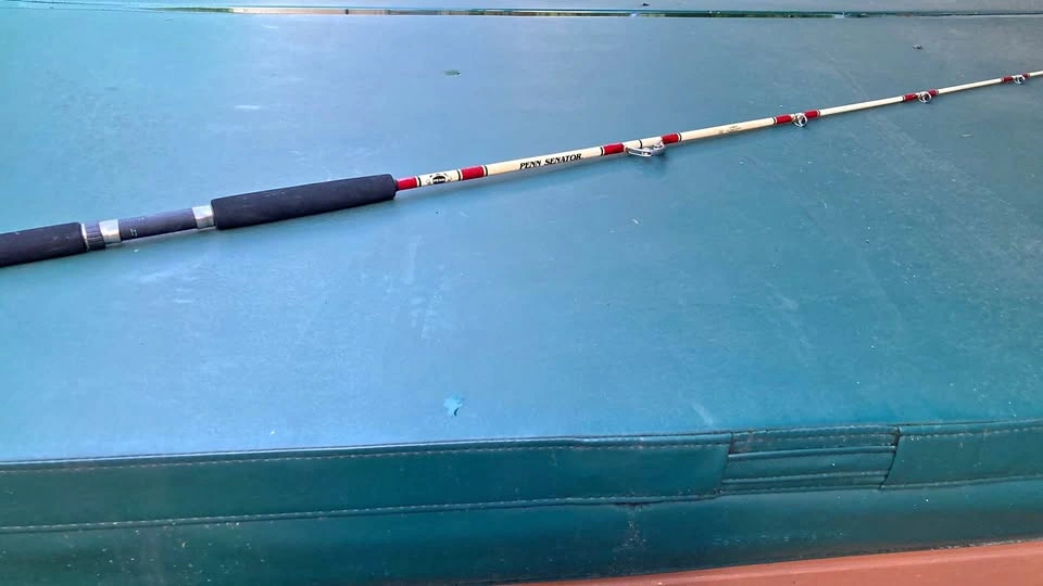 Penn Senator Trolling Fishing Rod