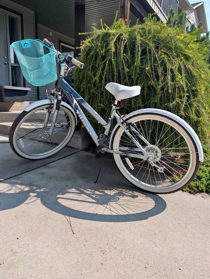 Tribal Overland Cruiser Bike w/ Basket