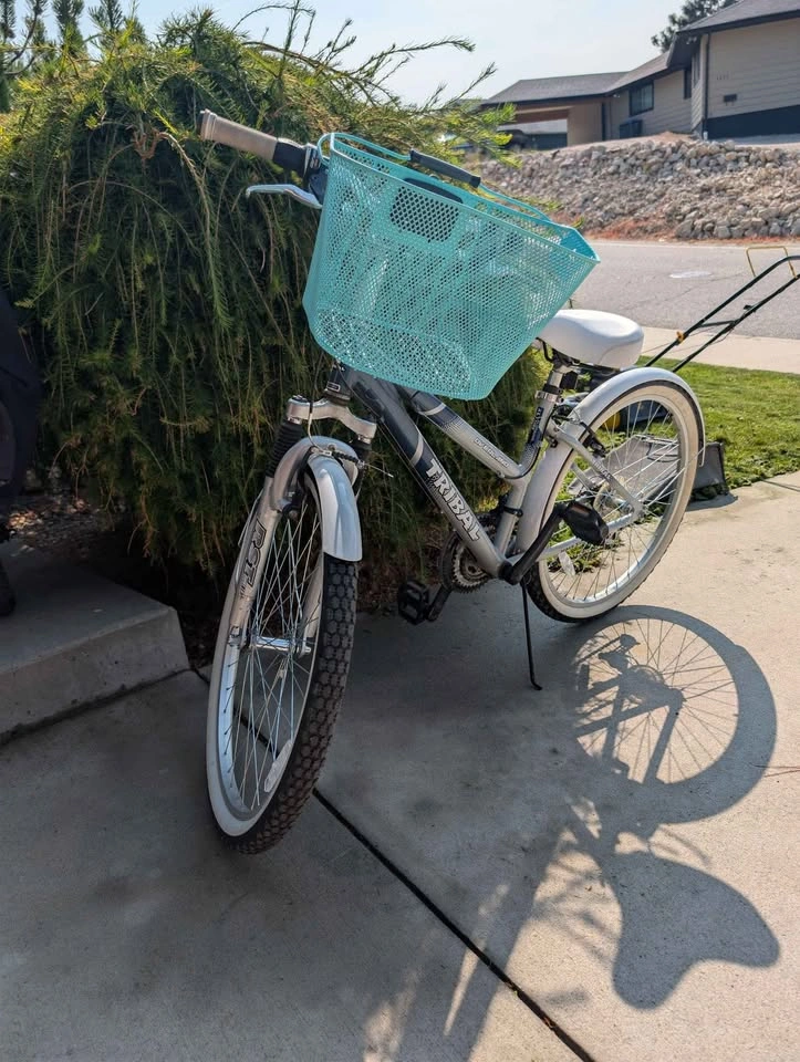 Tribal Overland Cruiser Bike w/ Basket - photo 2