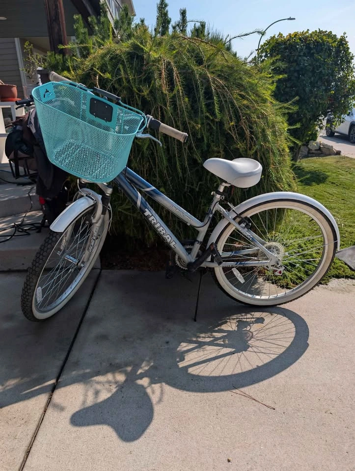Tribal Overland Cruiser Bike w/ Basket - photo 3