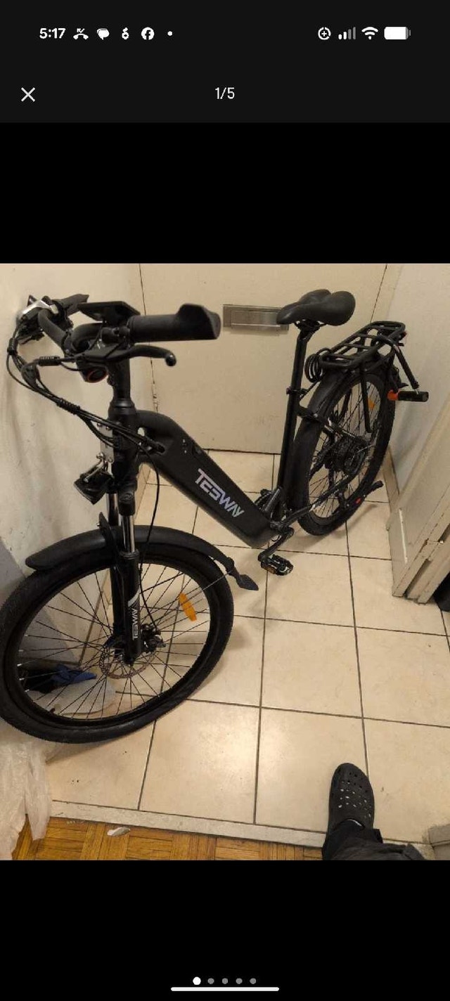 TESWAY Walker Ebike