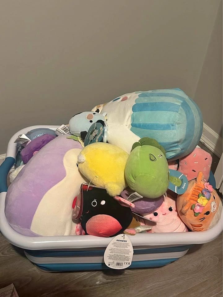 Assorted Squishmallows Lot