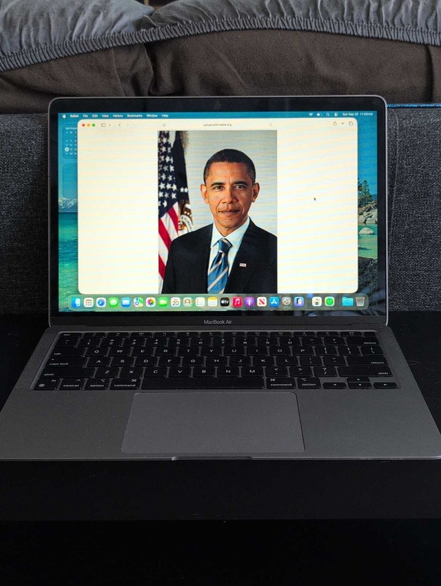 MacBook Air M1 - horizontal lines