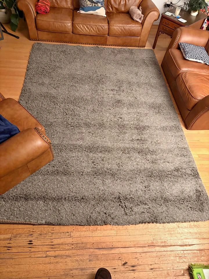 Grey Shag Area Rug