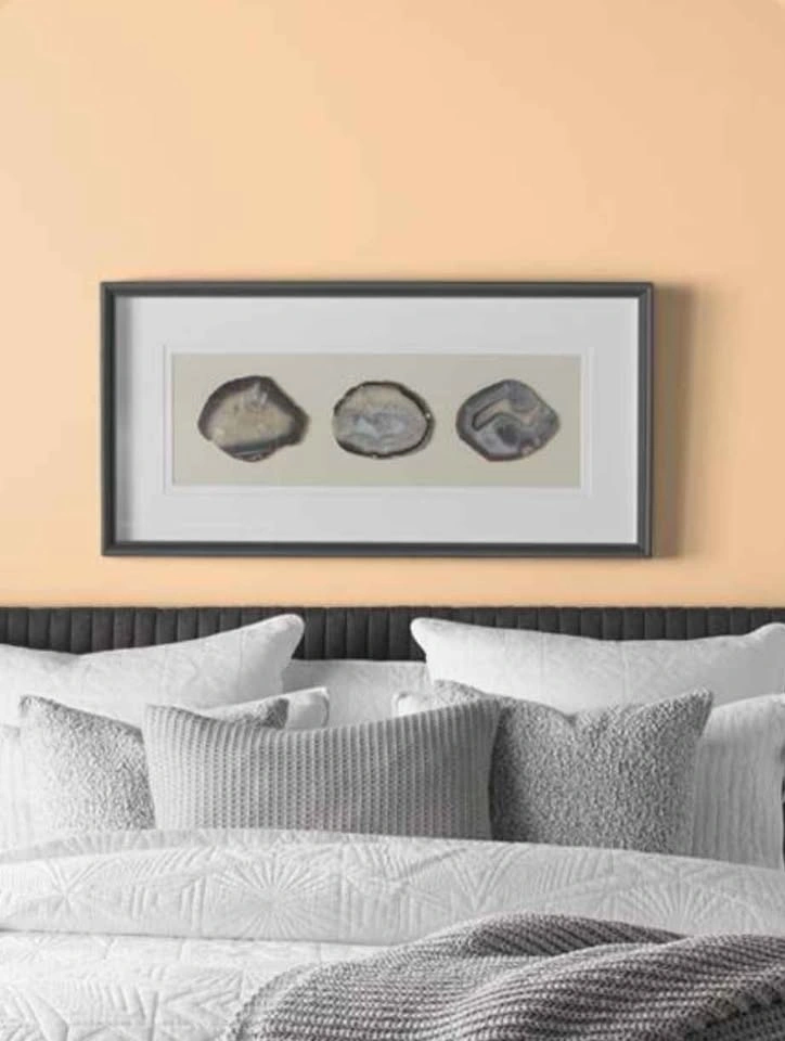 Paint gallon Behr sheet apricot - photo 3