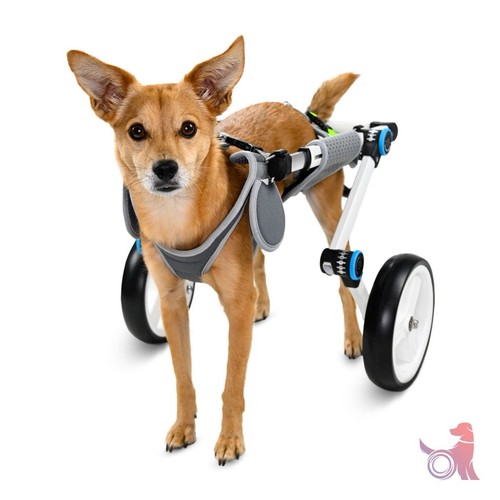 LET PET RUN WHEELCHAIR - XXSMALL - GRAY ADJUSTABLE DOG WHEELCHAI