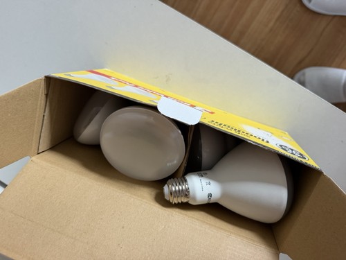 GE Soft White Floodlight 65 W - photo 2