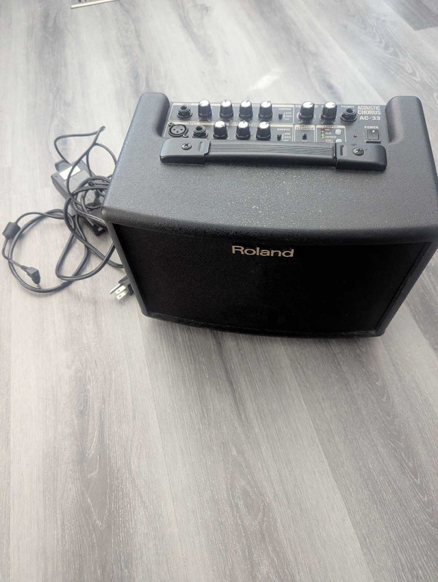Roland AC-33 High End Acoustic Guitar Amp Portable PA - photo 2