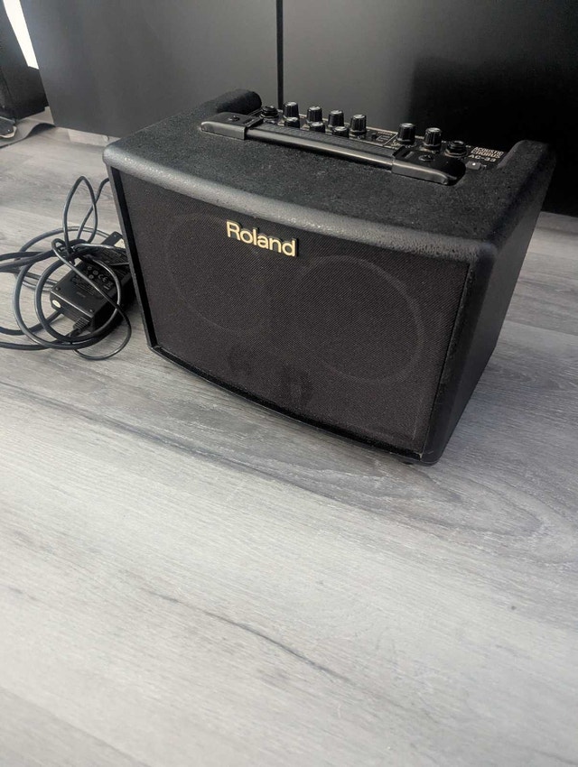 Roland AC-33 High End Acoustic Guitar Amp Portable PA - photo 3