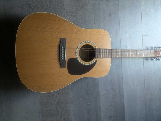 Art and Lutherie Canadian made Cedar model acoustic guitar