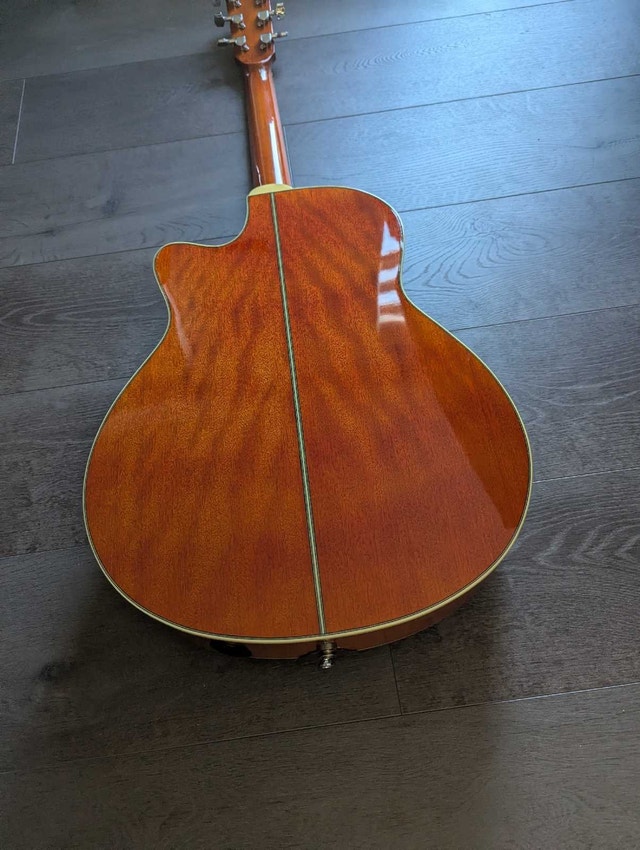 Fender FR-50CE Acoustic Electric Resonator Guitar - photo 4