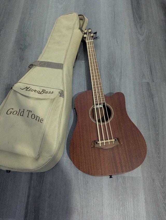 Gold tone Micro model acoustic electric Bass guitar