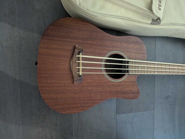 Gold tone Micro model acoustic electric Bass guitar - photo 2