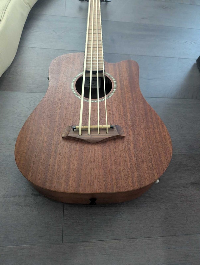 Gold tone Micro model acoustic electric Bass guitar - photo 5