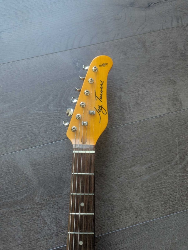 Jay Turser stratocaster electric guitar - photo 2
